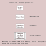 Induction. Neural Operations