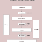 Non-logical drivers of decision-making