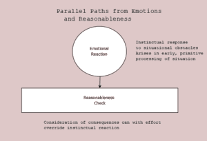 Figure 1. Parallel paths from emotions and reasonableness