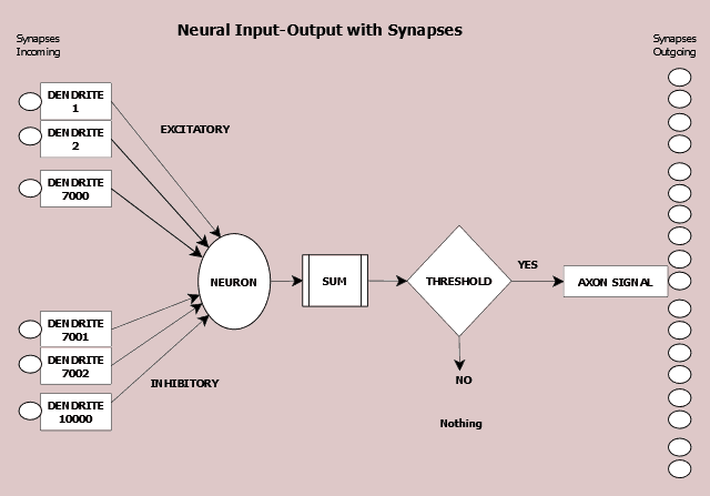 Neural Input-Output with Synapses before dendrites into neuron, summed, if threshold exceeded signal is fired, whicach at all receiving