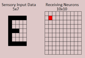 Figure 9.3 The E input pattern sends it signal to a particular neuron in the receiving layer.