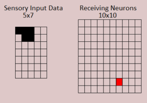 Figure 10.3 A pattern input, 5 pixels in the upper left. A winning receiving neuron, one neuron.
