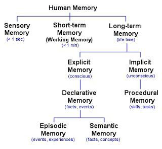 Figure 1 Memory Types. Sensory, Short-term, Long-term. More description in memory link