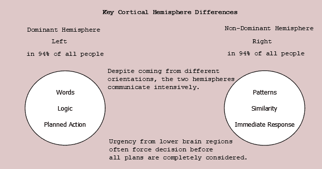 Figure 23.5 Key Hemisphere Differences. Dominant hemisphere generates words, uses logic and sequential thought. Non-dominant hemisphere assembles patterns, uses similarity in parallel operations. 