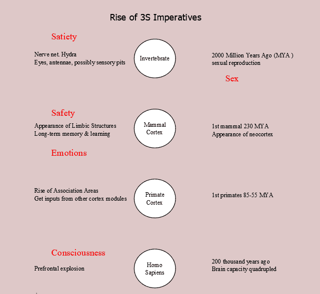 Figure 1. 3S Imperatives, Emotions, Consciousness developed at different times in steps that lead to homo sapiens