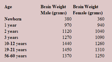 Figure 14.1 Human Brain Growth. More than doubles in 1st year and triples by 2nd year